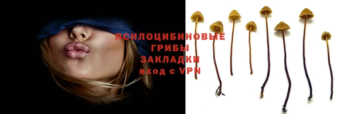 дурь Арсеньев