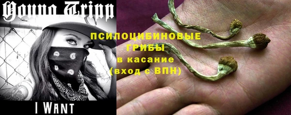 дурь Арсеньев