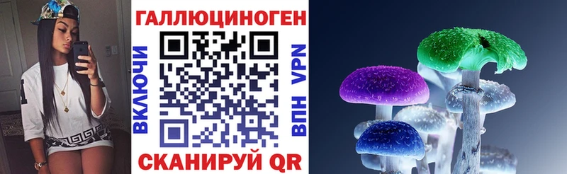 Псилоцибиновые грибы Magic Shrooms  где купить наркоту  Каспийск 