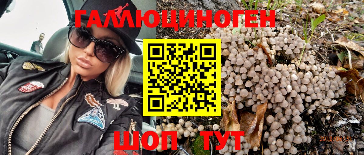 Каспийск  Галлюциногенные грибы MAGIC MUSHROOMS  Вход с VPN 