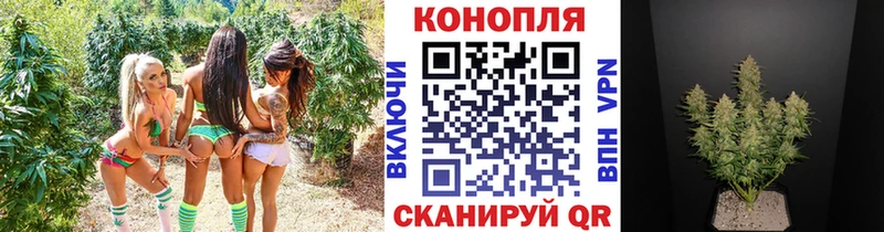 Бошки Шишки тримм  Каспийск 